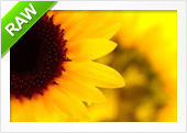 Recover RAW images from all types of media
